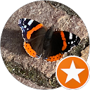 chocoholicrabbit profile picture